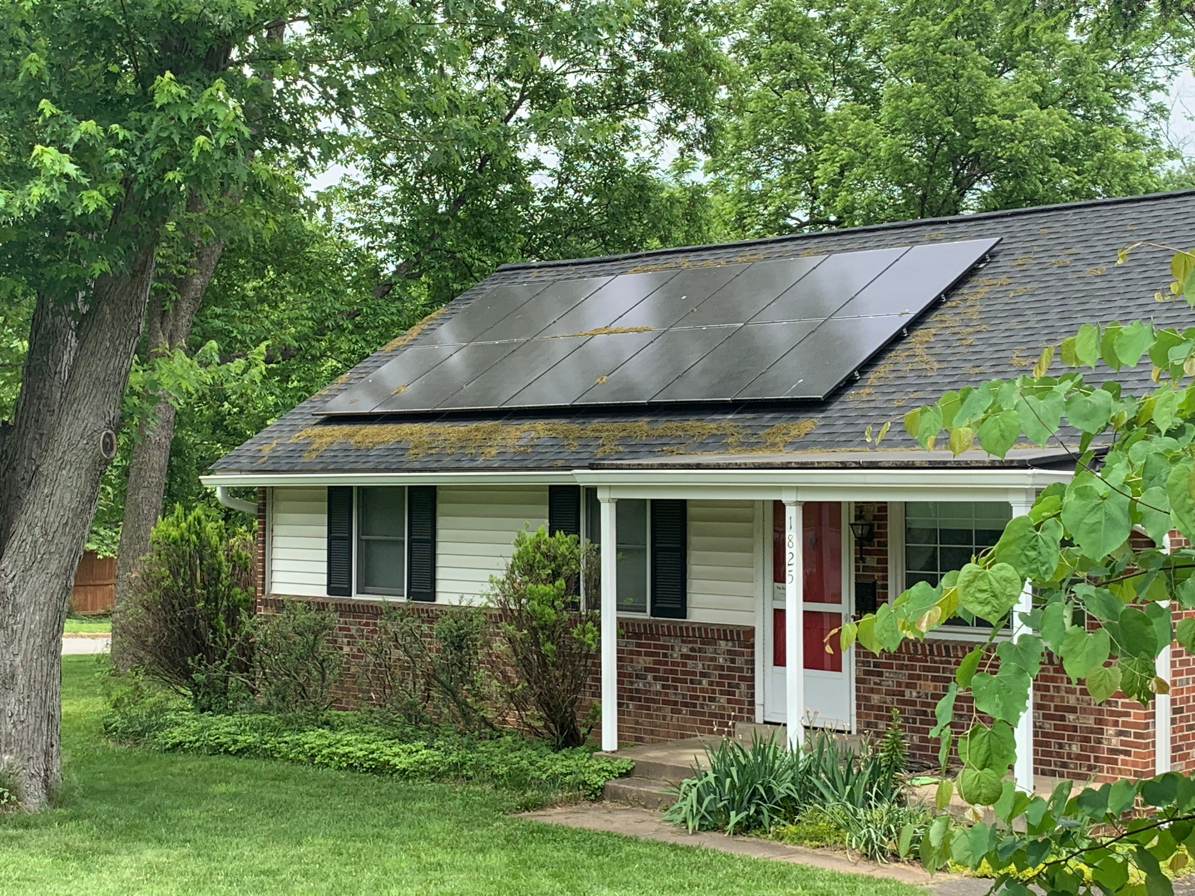 福尔斯彻奇的家庭正在使用太阳能